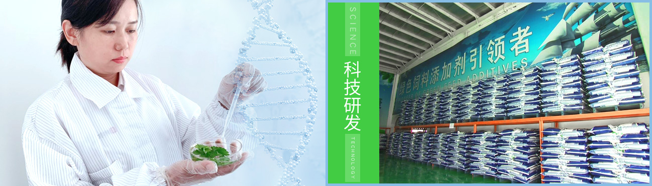 <a href=http://m.uunjl.cn>天津納爾生物科技有限公司</a>