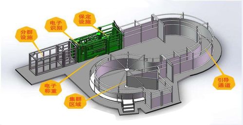基于物聯(lián)網(wǎng)的畜禽智能養(yǎng)殖監(jiān)控系統(tǒng)與智能水務(wù)系統(tǒng)開發(fā)